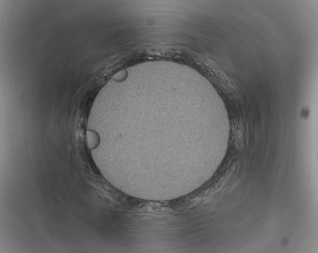 X0000116610770201001081210