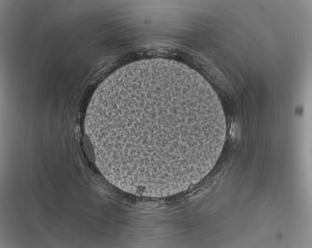 X0000116610771201001081210