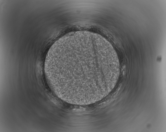 X0000116610772201001081210