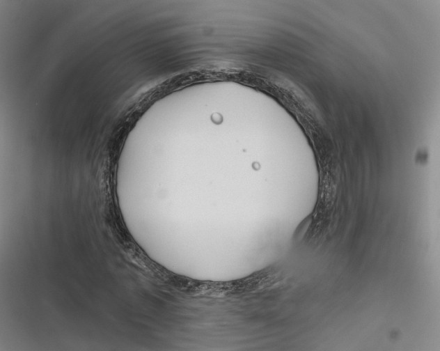 X0000116610773201001081210