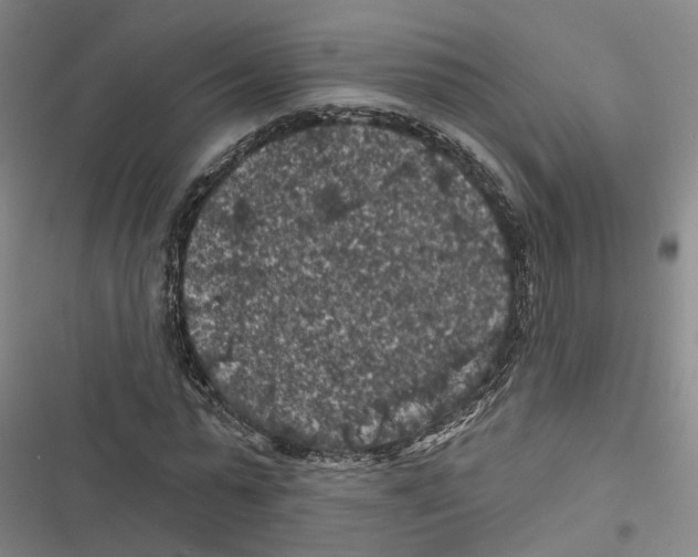 X0000116610775201001081210