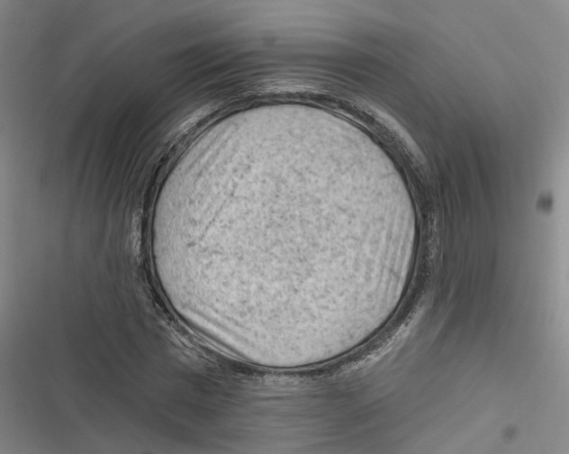 X0000116610777201001081210