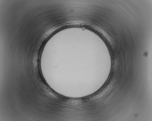 X0000116610778201001081210