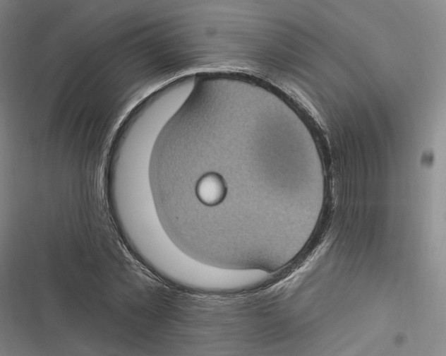 X0000116610781201001081210