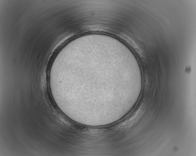 X0000116610782201001081210