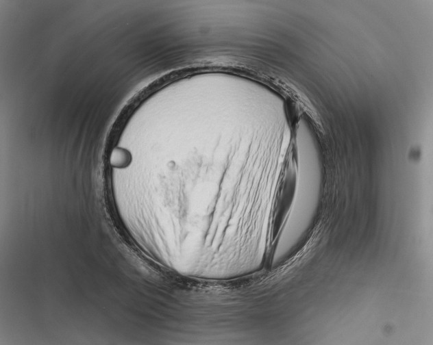 X0000116610784201001081210