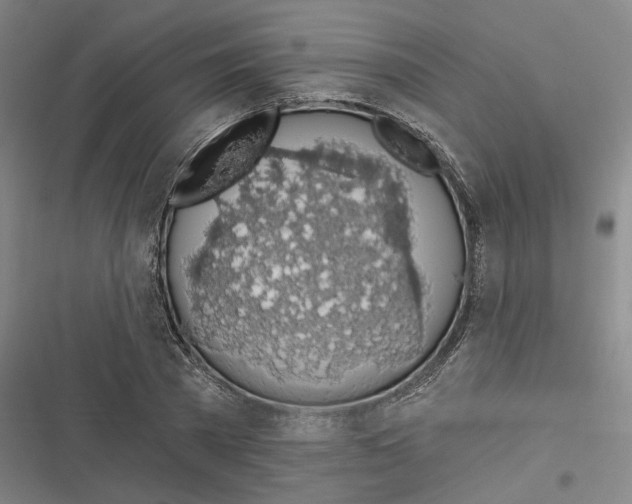 X0000116610785201001081210