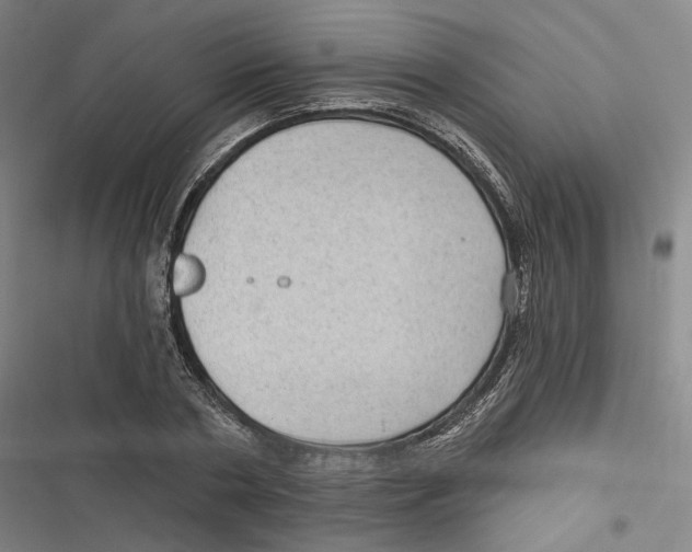 X0000116610786201001081210