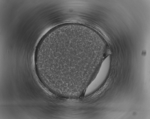 X0000116610788201001081210