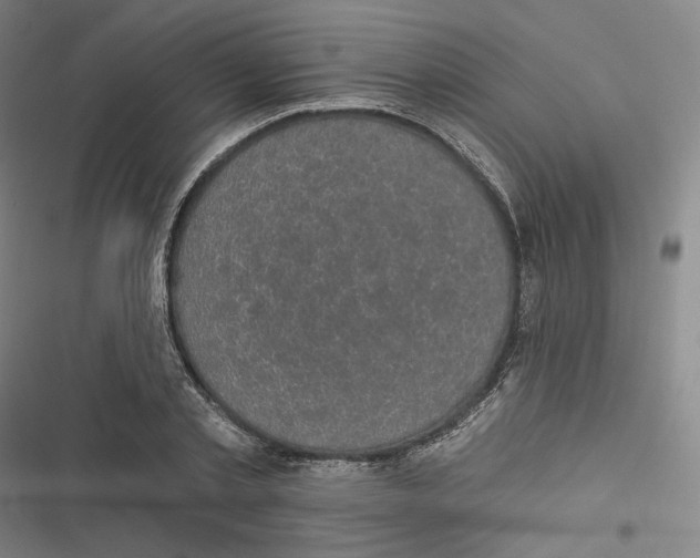 X0000116610789201001081210