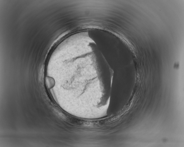 X0000116610790201001081210