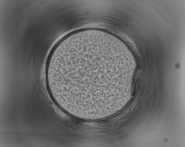 X0000116610792201001081210