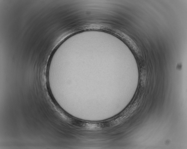 X0000116610794201001081210