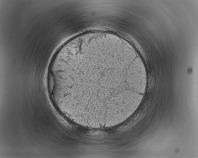 X0000116610795201001081210