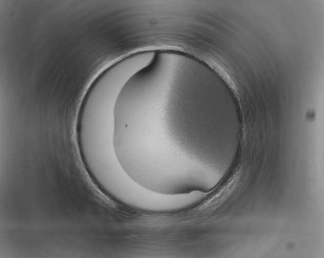 X0000116610797201001081210