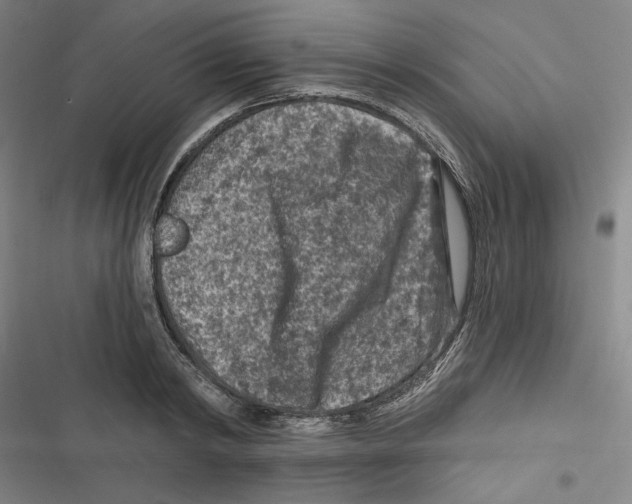 X0000116610798201001081209