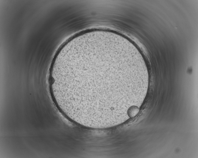 X0000116610799201001081209