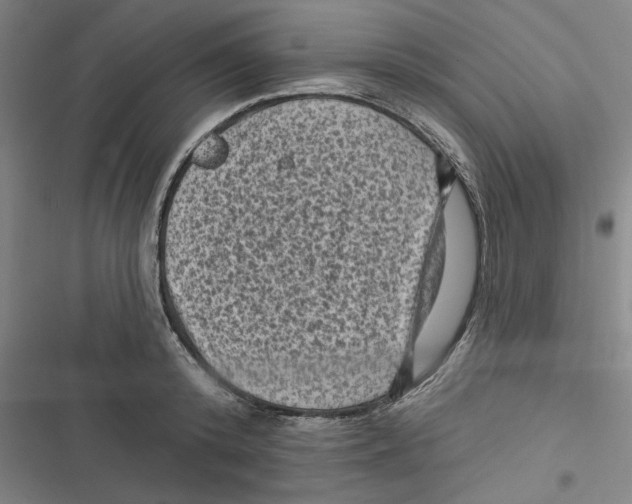 X0000116610800201001081209