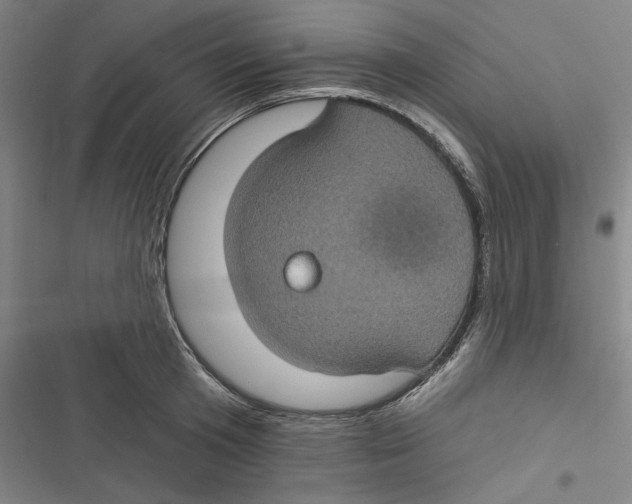 X0000116610801201001081209