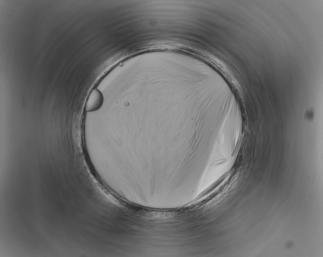 X0000116610802201001081209