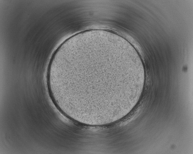 X0000116610803201001081209