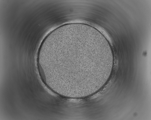 X0000116610805201001081209