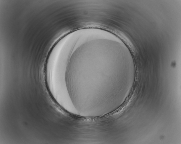 X0000116610806201001081209