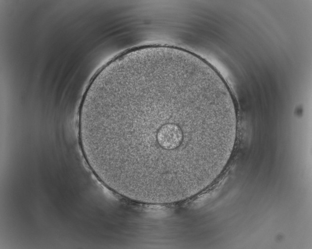 X0000116610807201001081209