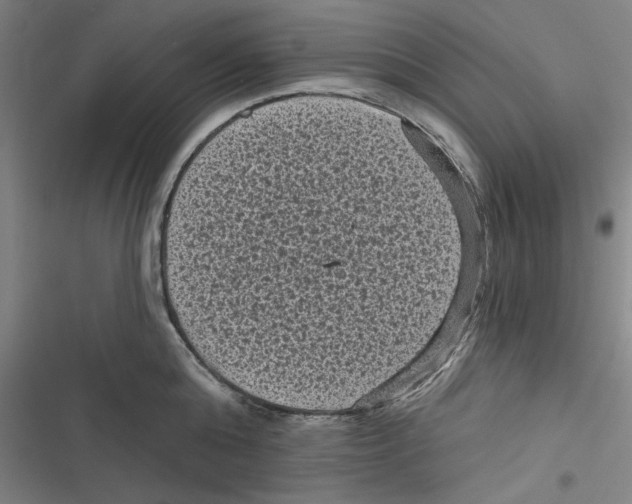 X0000116610808201001081209