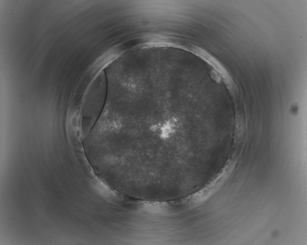 X0000116610809201001081209