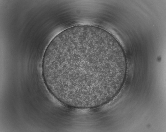 X0000116610810201001081209