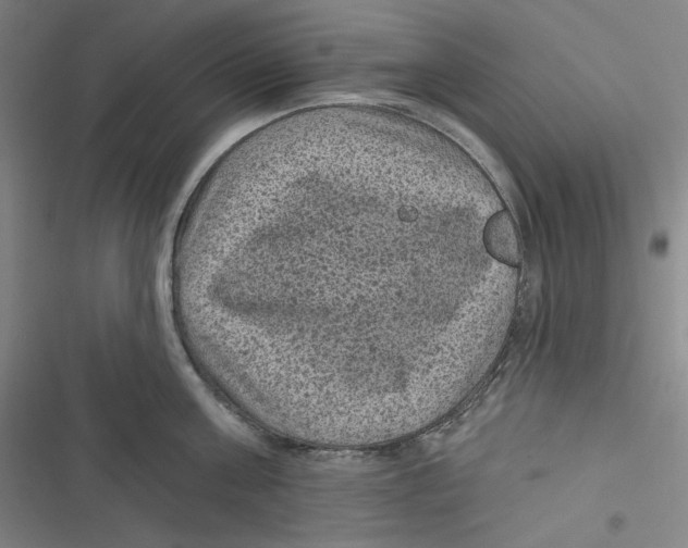 X0000116610811201001081209