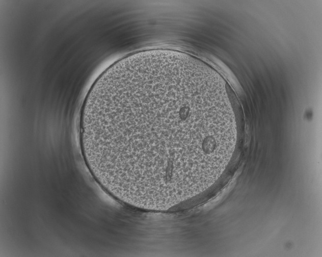 X0000116610812201001081209