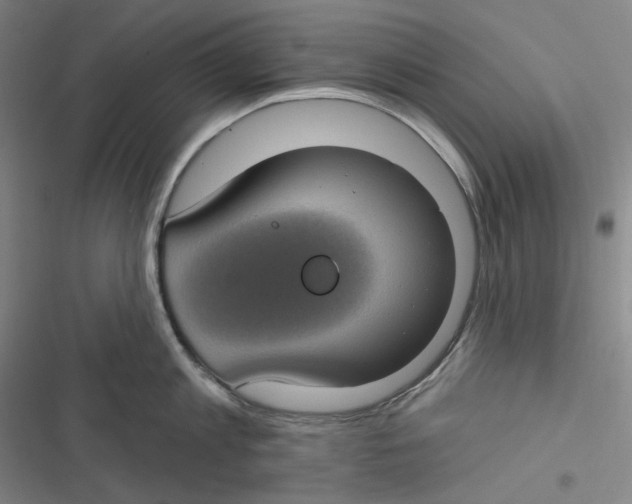 X0000116610813201001081209