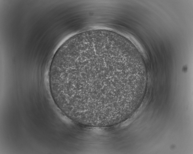 X0000116610814201001081209