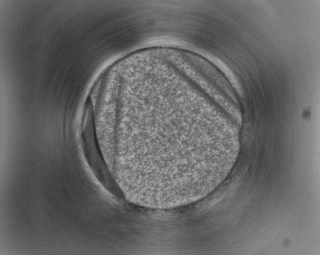 X0000116610815201001081209