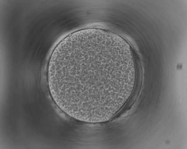 X0000116610816201001081209