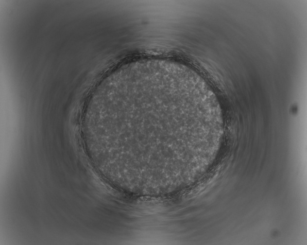 X0000116610817201001081209