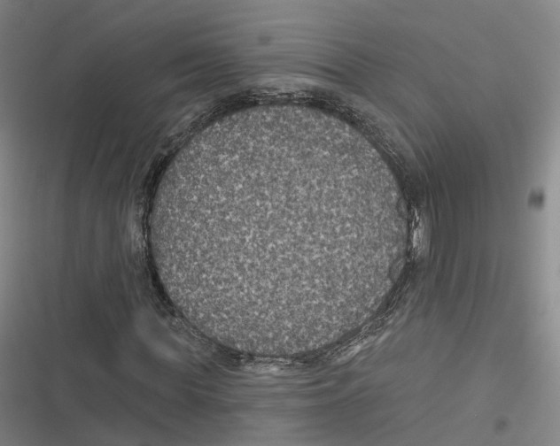 X0000116610819201001081209