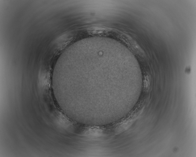 X0000116610820201001081209