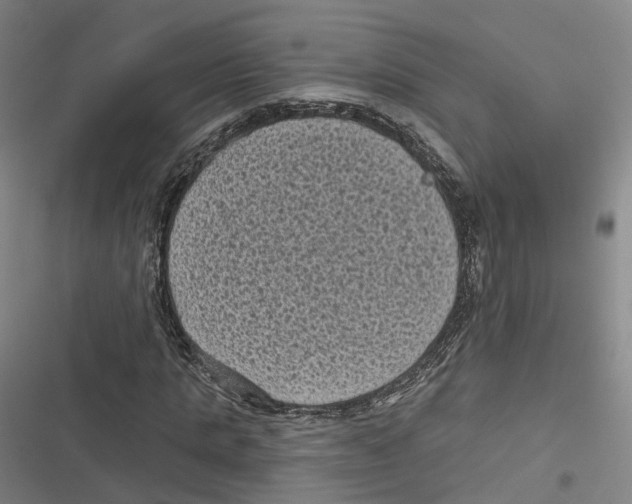 X0000116610821201001081209