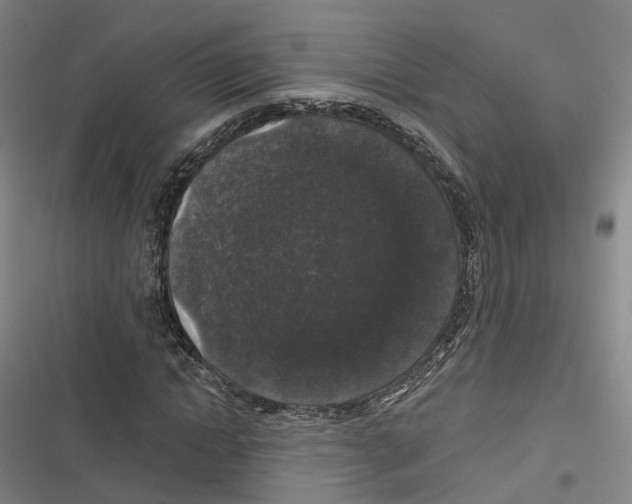 X0000116610822201001081209