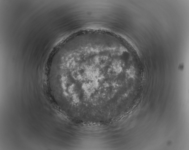 X0000116610823201001081209