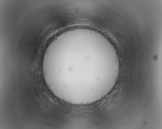 X0000116610824201001081209