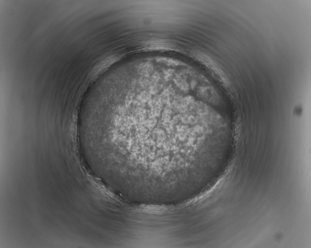 X0000116610825201001081209