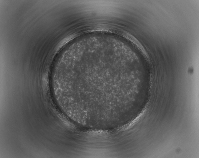 X0000116610826201001081209