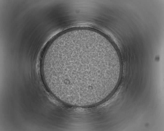 X0000116610827201001081209