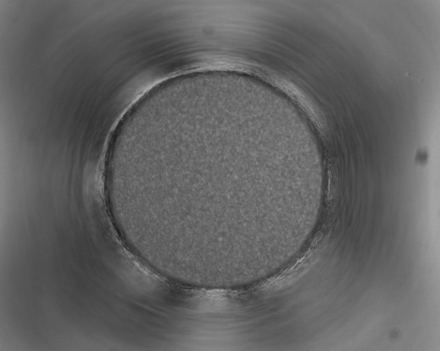 X0000116610828201001081209