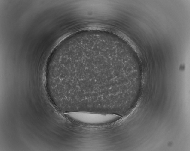 X0000116610829201001081209