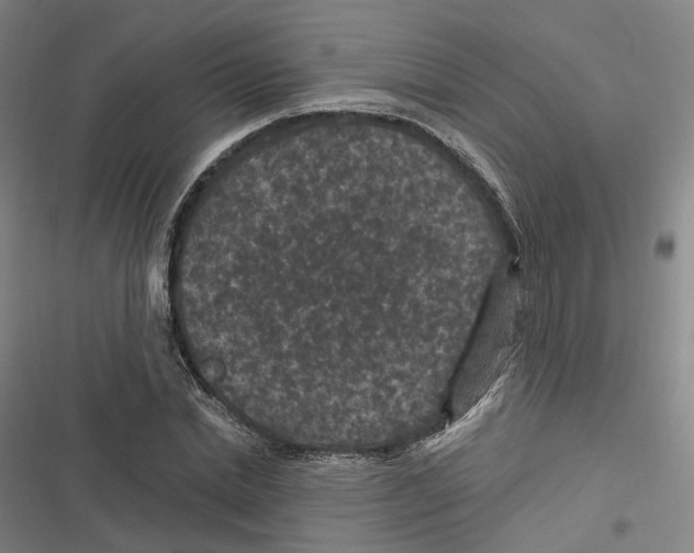 X0000116610830201001081209